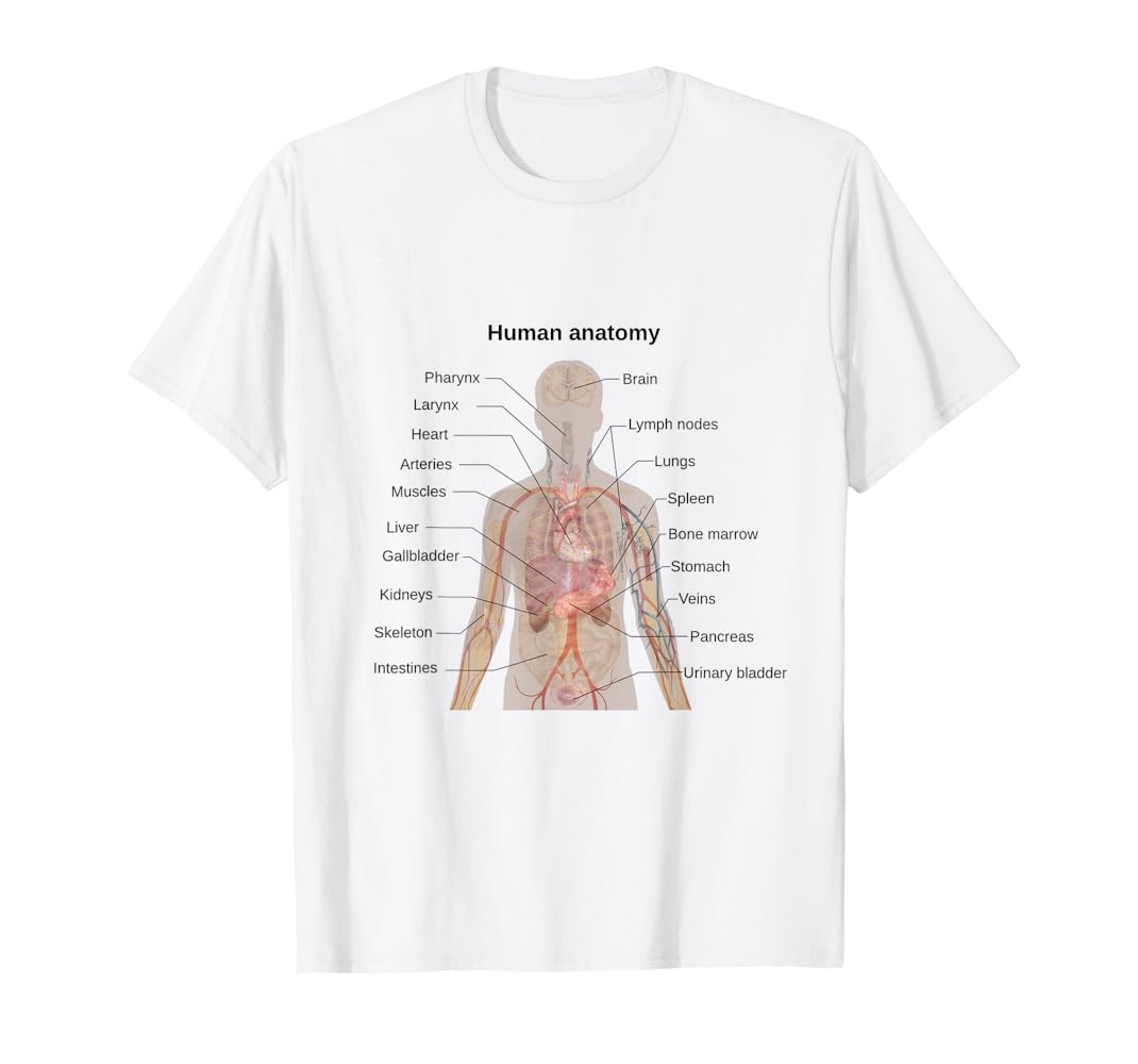 Amazon.com: Human Anatomy Labeled Diagram T-Shirt : Clothing